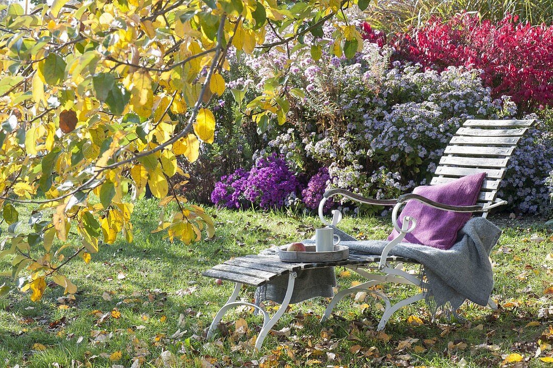 Lounger under apple tree in autumnal garden