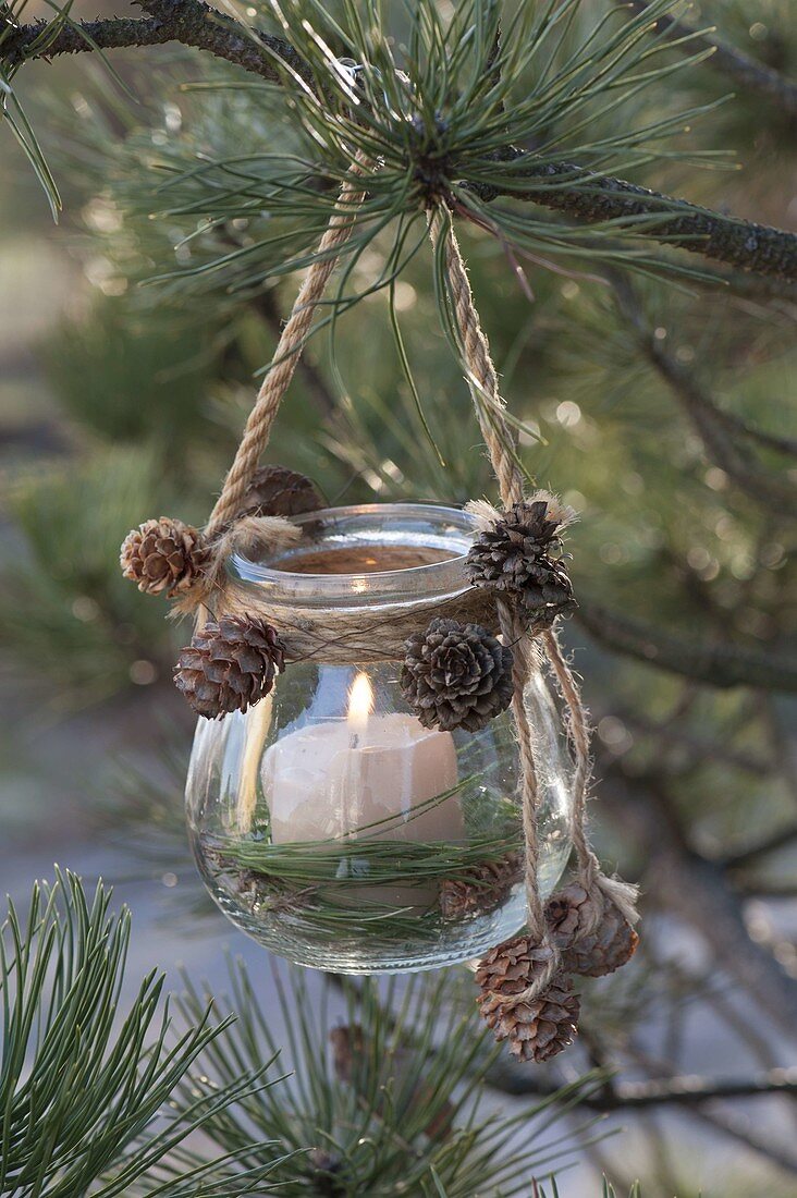 Glas als Windlicht mit Kordel in Pinus (Kiefer) aufgehängt