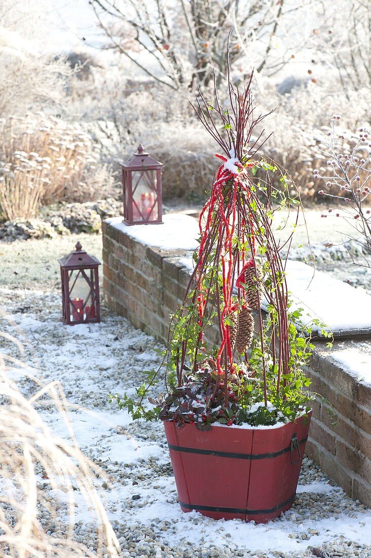 Holzkuebel mit Hedera (Efeu) und Gaultheria procumbens (Scheinbeere)