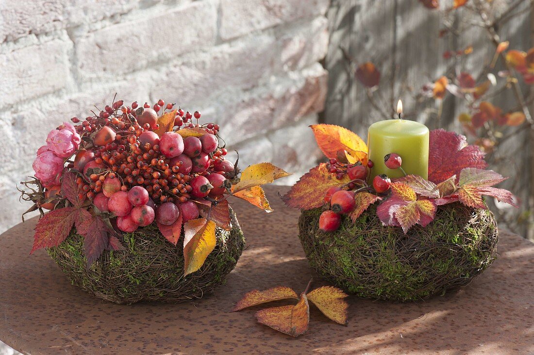 Autumnal baskets of moss and wire wine with malus