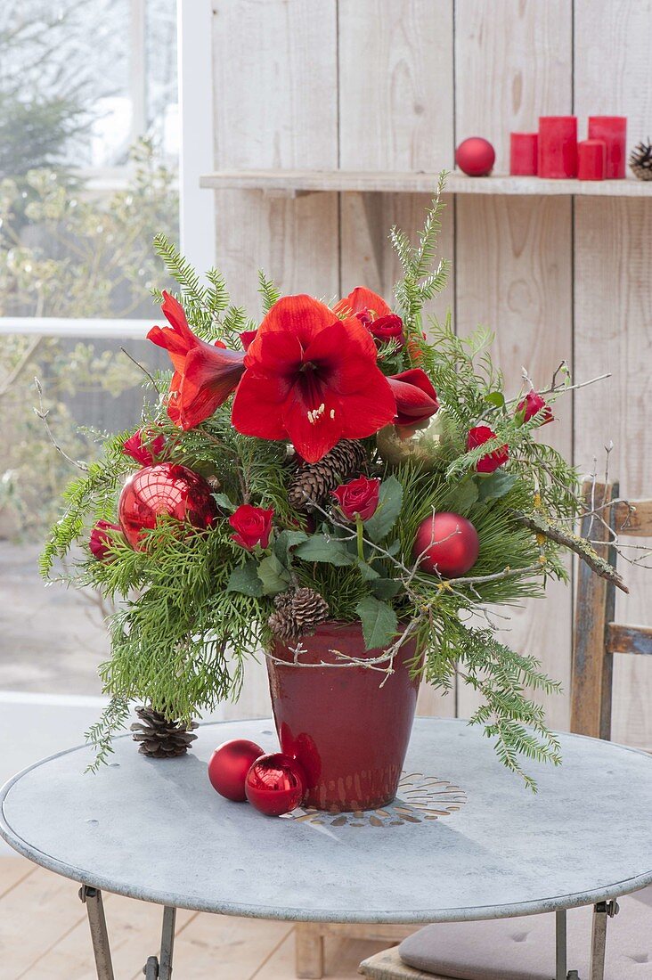 Red Christmas Bouquet of Hippeastrum (Amaryllis), Pink (Rose)
