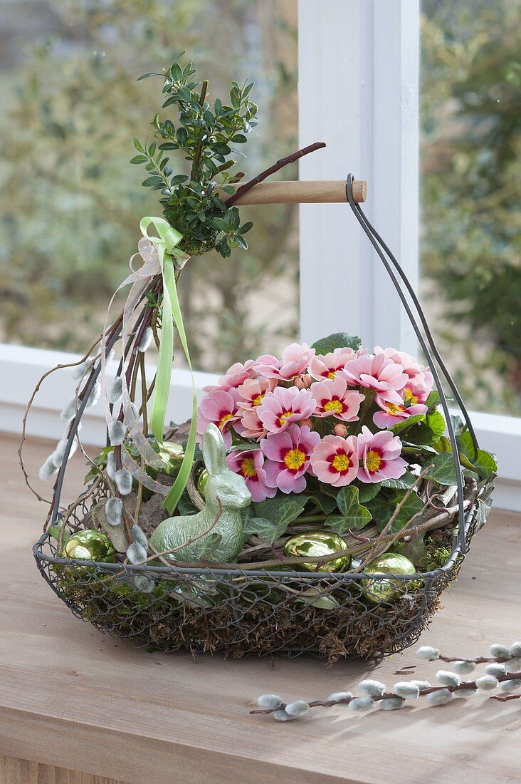 Wire basket with primula acaulis, moss, easter bunny, easter eggs