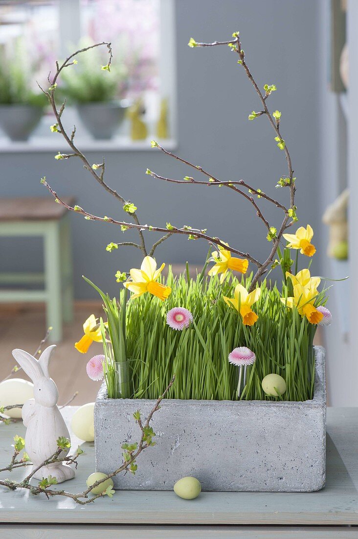 Gray box with wheatgrass decorated with Easter eggs