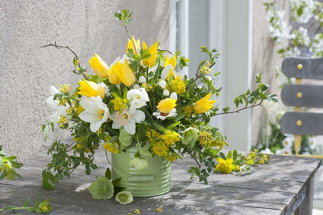 White-yellow bouquet of Tulipa (tulips), Narcissus (daffodils)