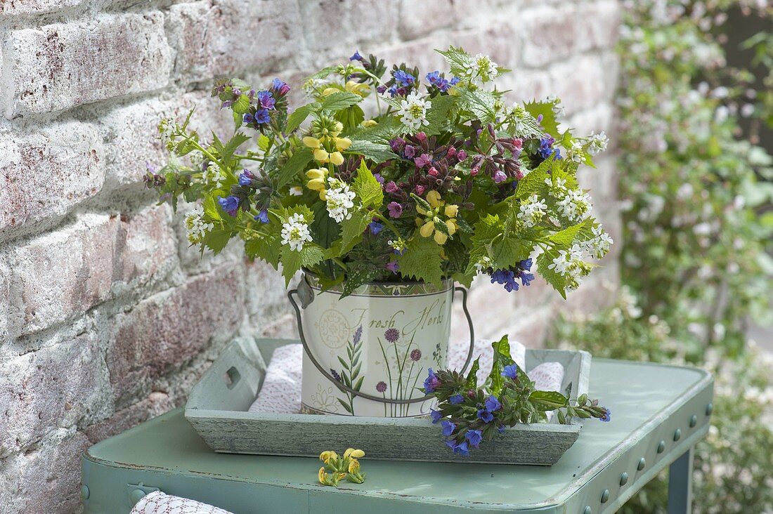 Colorful spring bouquet with Pulmonaria (lungwort), Lamium