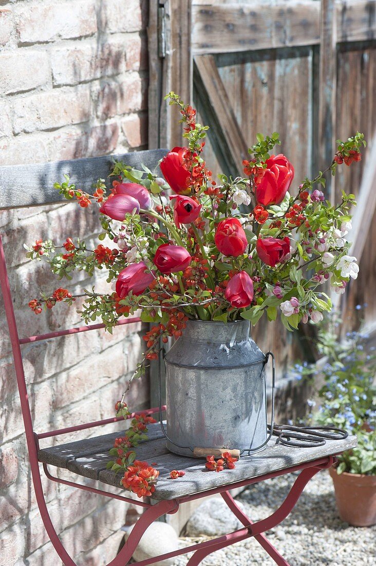 Rural bouquet from Chaenomeles, Malus