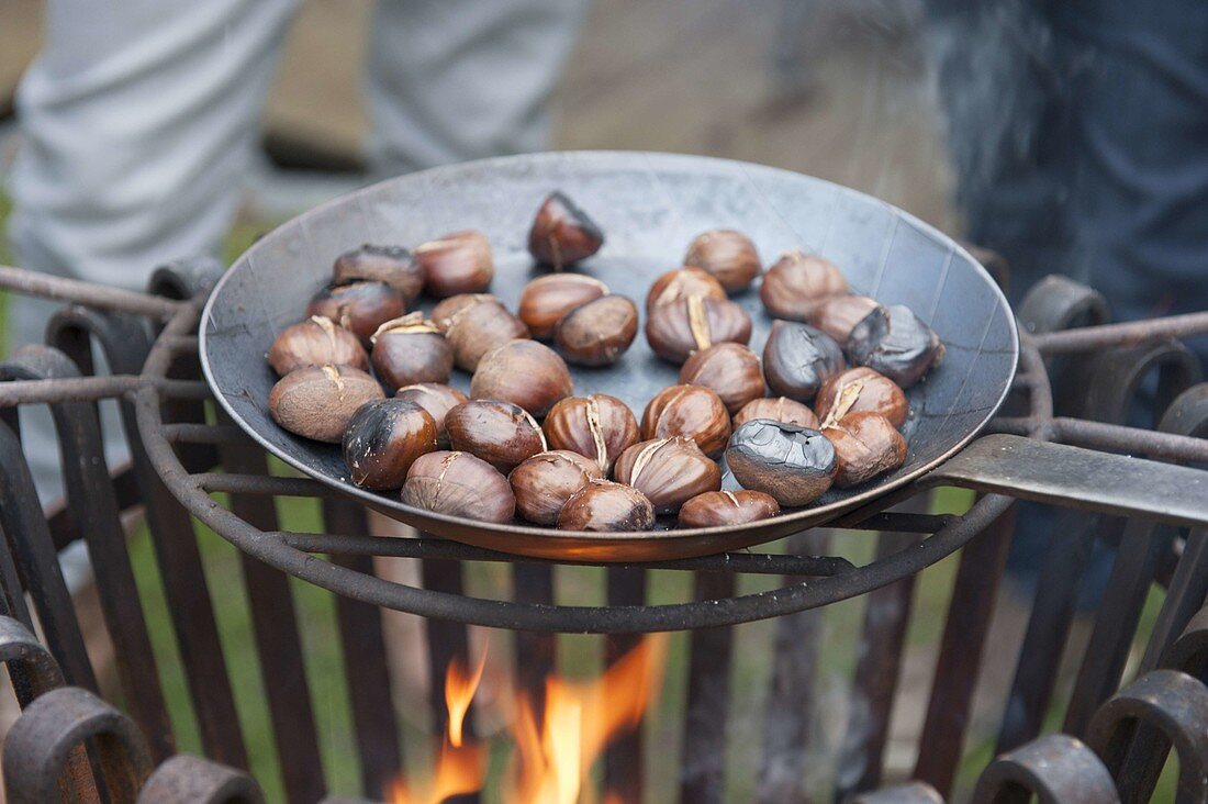 Spätherbst / Winter mit Freunden im Garten