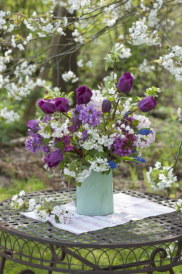 Purple and white spring bouquet under cherry tree tulipa 'Purple Prince'
