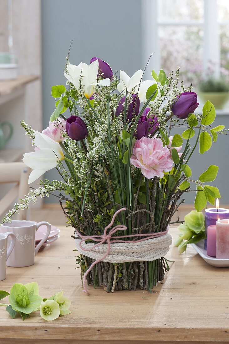 Tulipa (Tulpen) und Zweige von Spiraea (Spierstrauch)