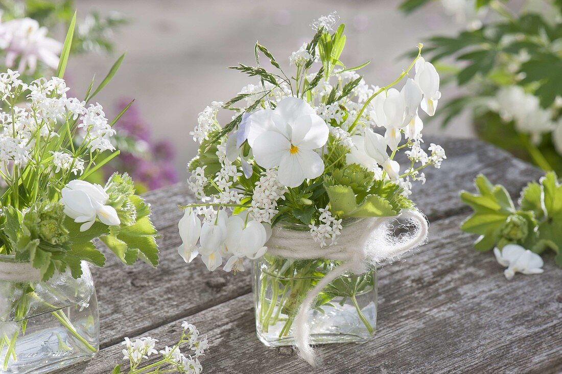 weiße Mini-Straeusschen aus Viola cornuta (Hornveilchen), Blüten