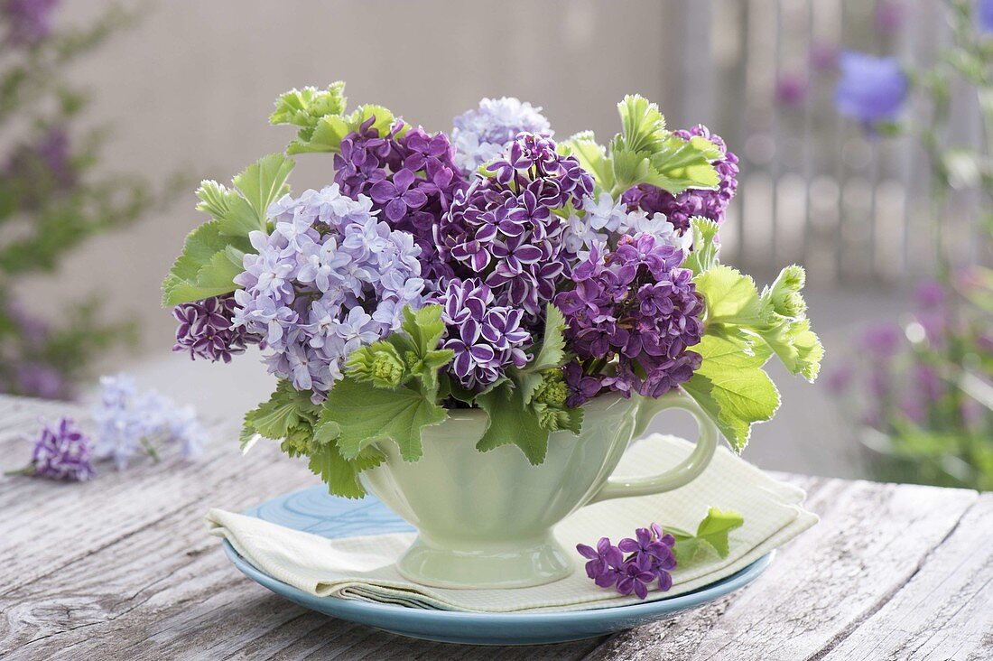 Small Syringa and Alchemilla mollis bouquet