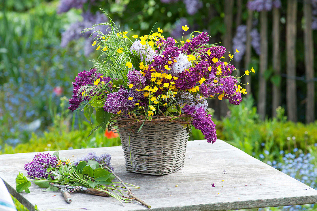 Cottage bouquet made of syringa (lilac), Ranunculus acris