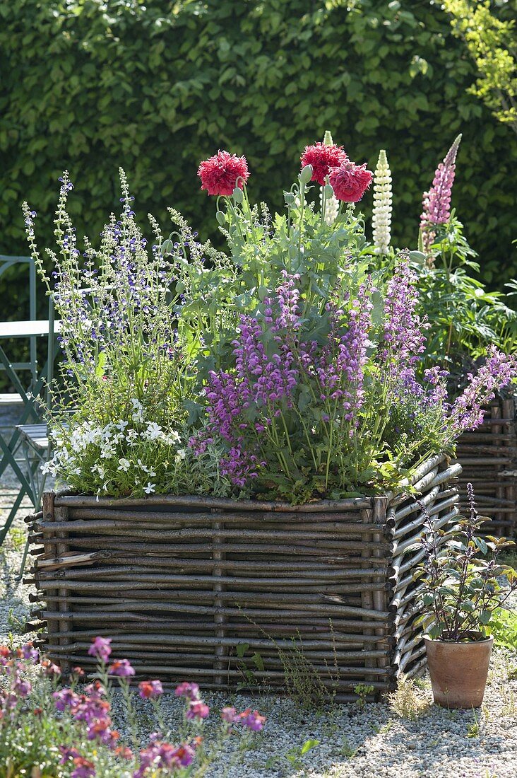 Gravel terrassse with raised beds made of hazelnut rods