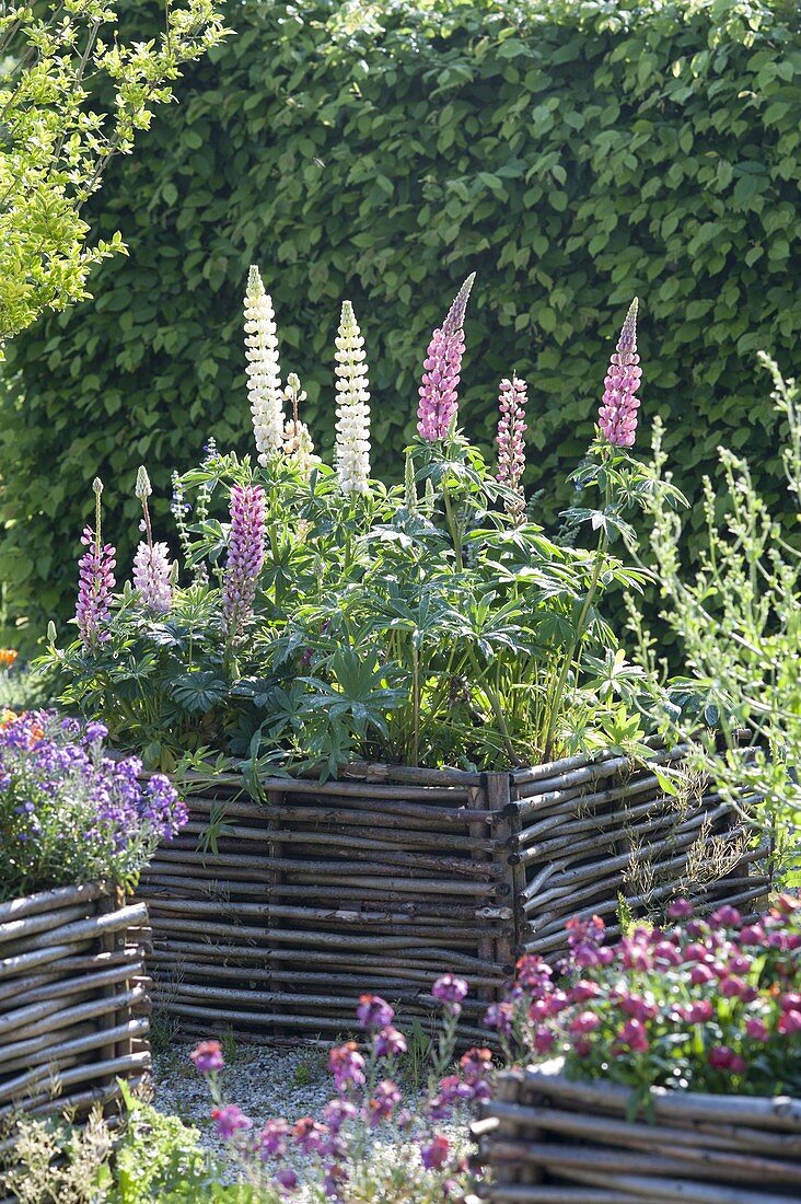 Gravel terrassse with raised beds made of hazelnut rods