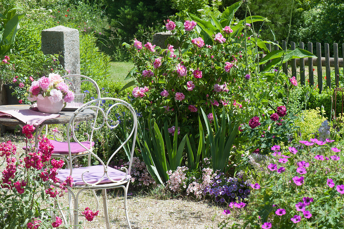 Beet durch die Jahreszeiten im Sommer