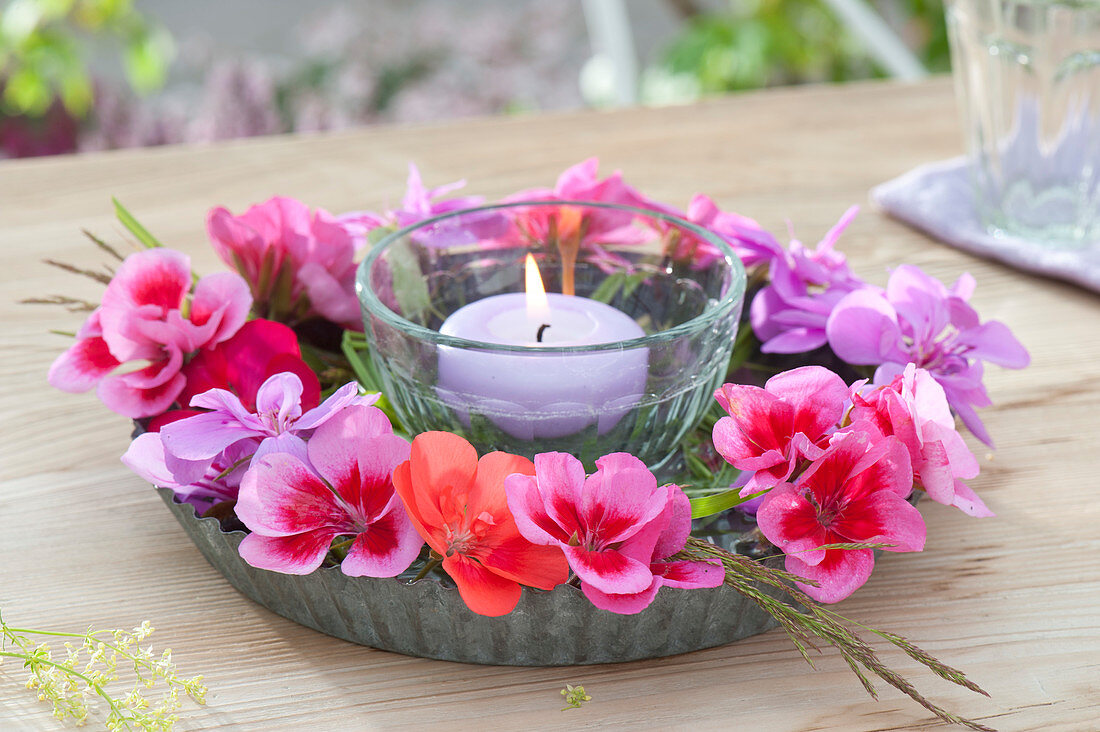 Pelargonium (geranium) flowers and grasses around lantern