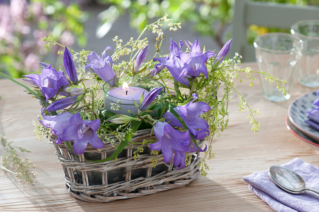 Arrangement with lantern in Basket Jardiniere, Campanula