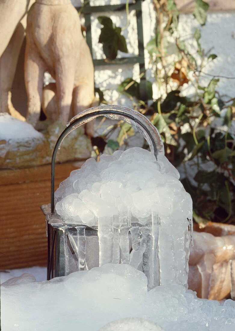 Iced lantern