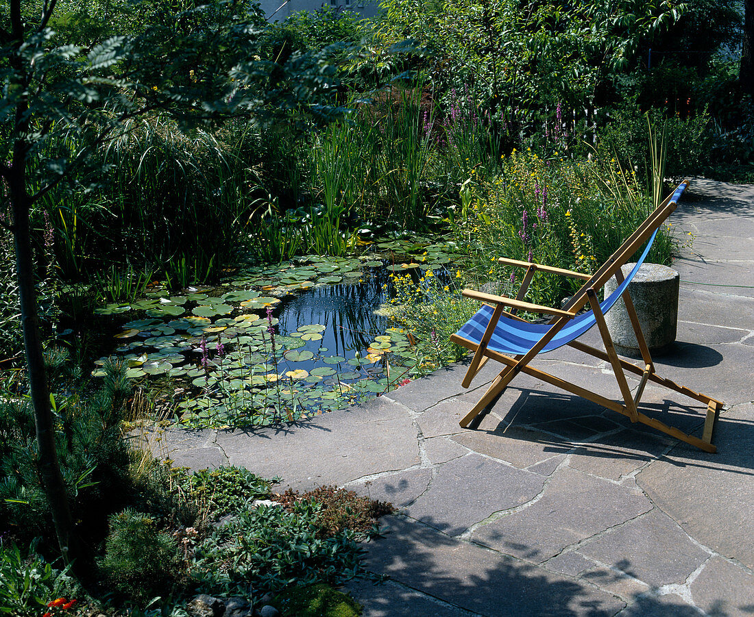Pond with deck chair