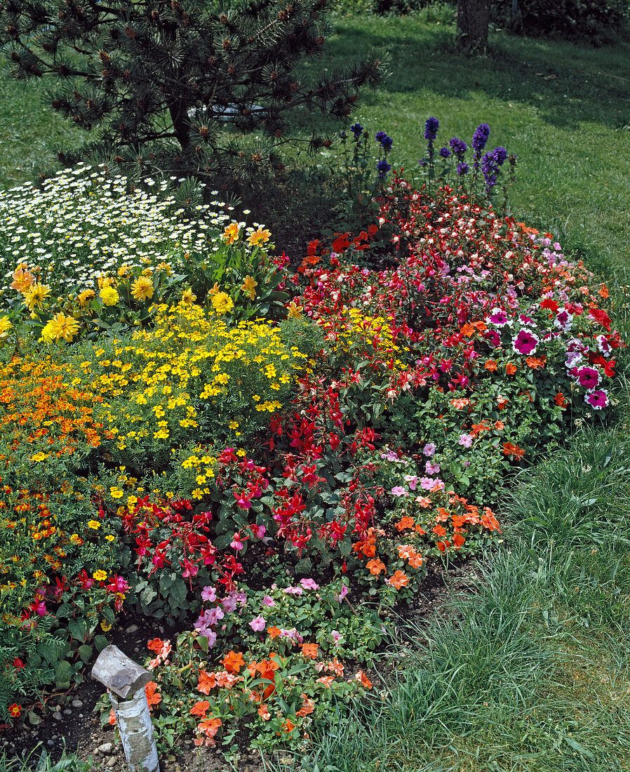 Buntes Sommerblumenbeet