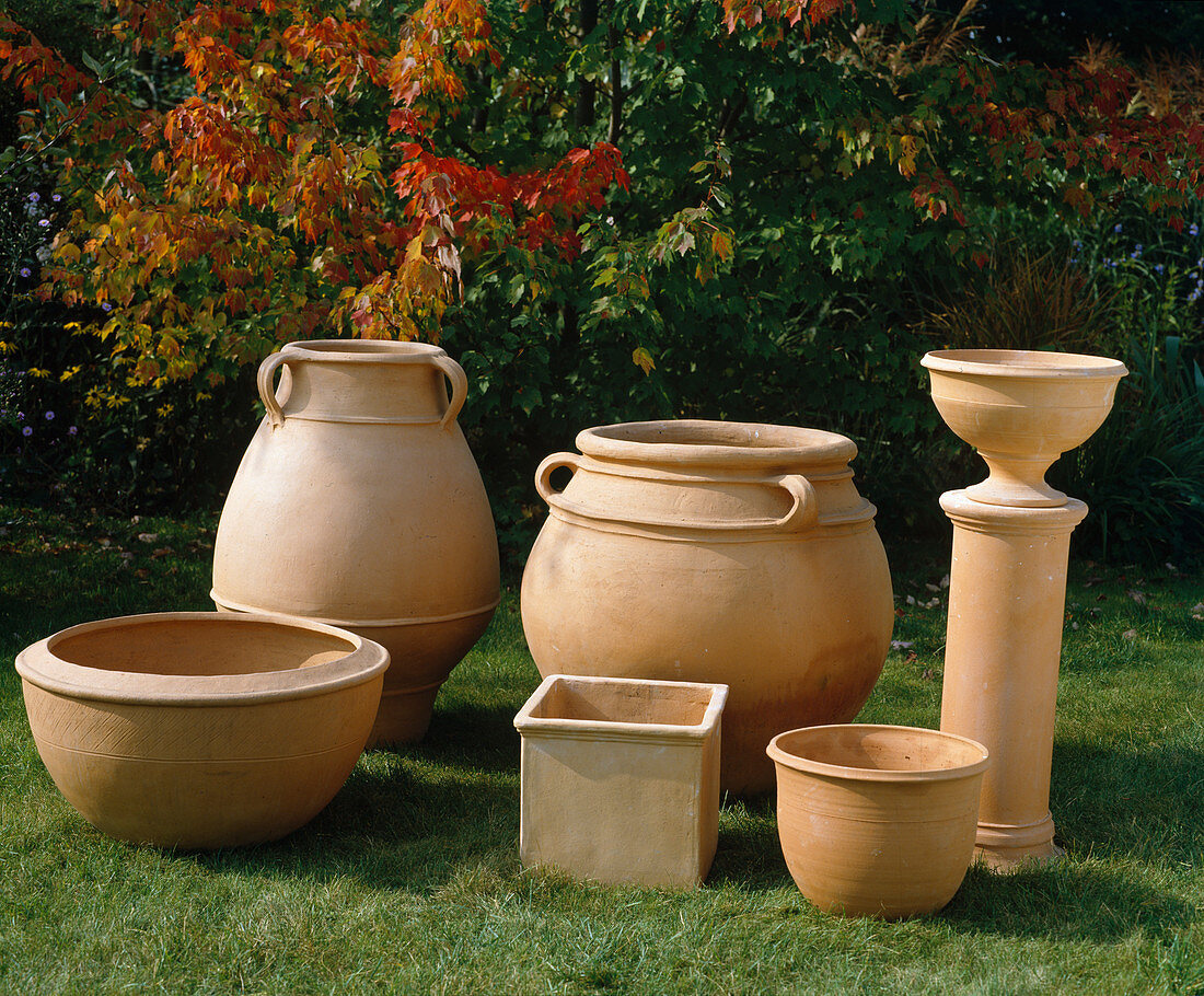 Terracotta plant pots