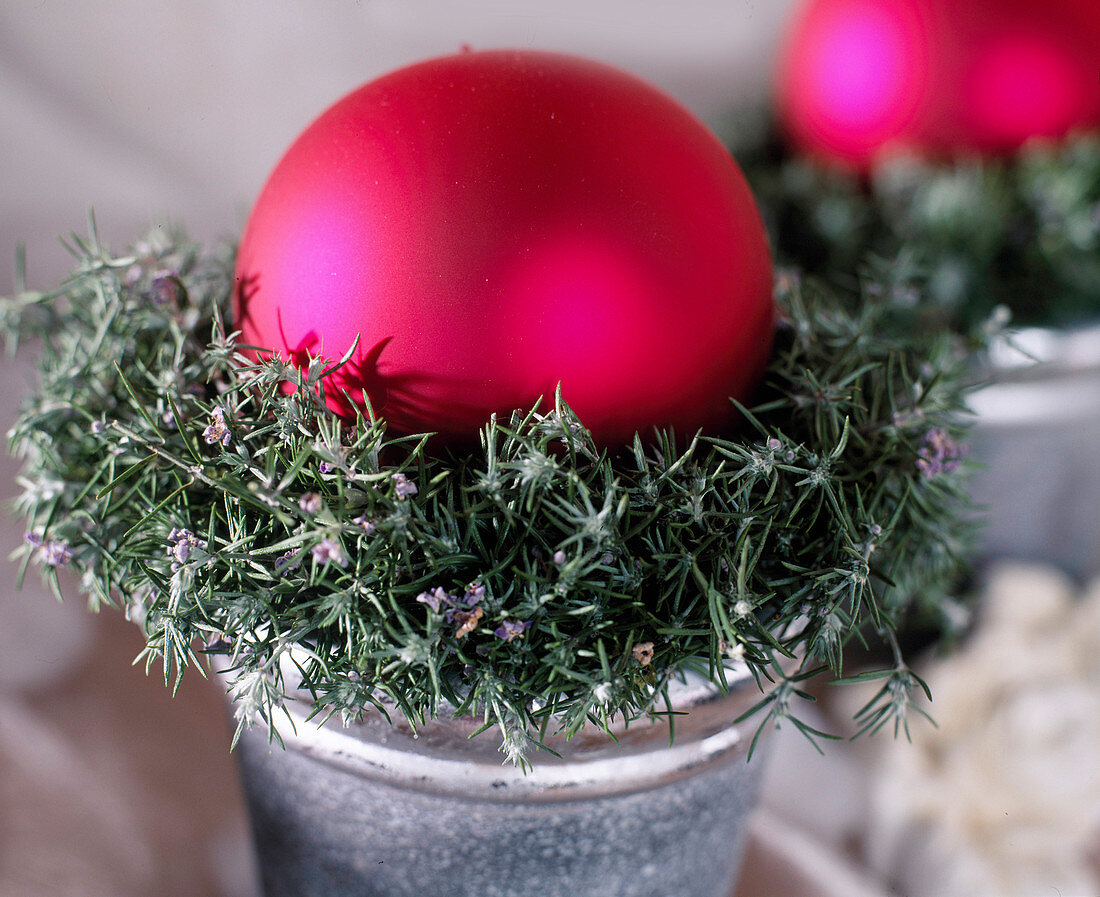 Silver pot with wreath of Westringia and purple ball