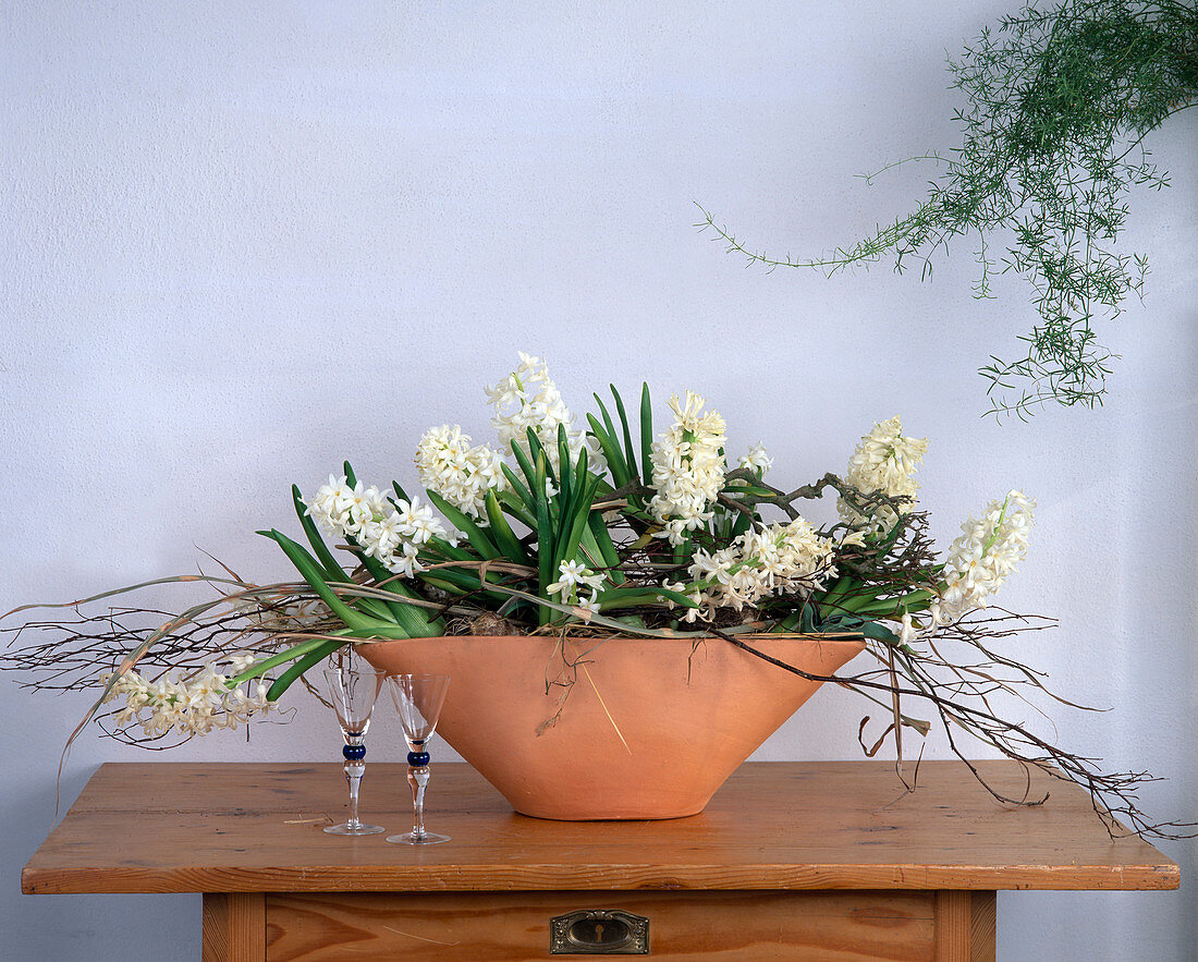 White hyacinths in bowl