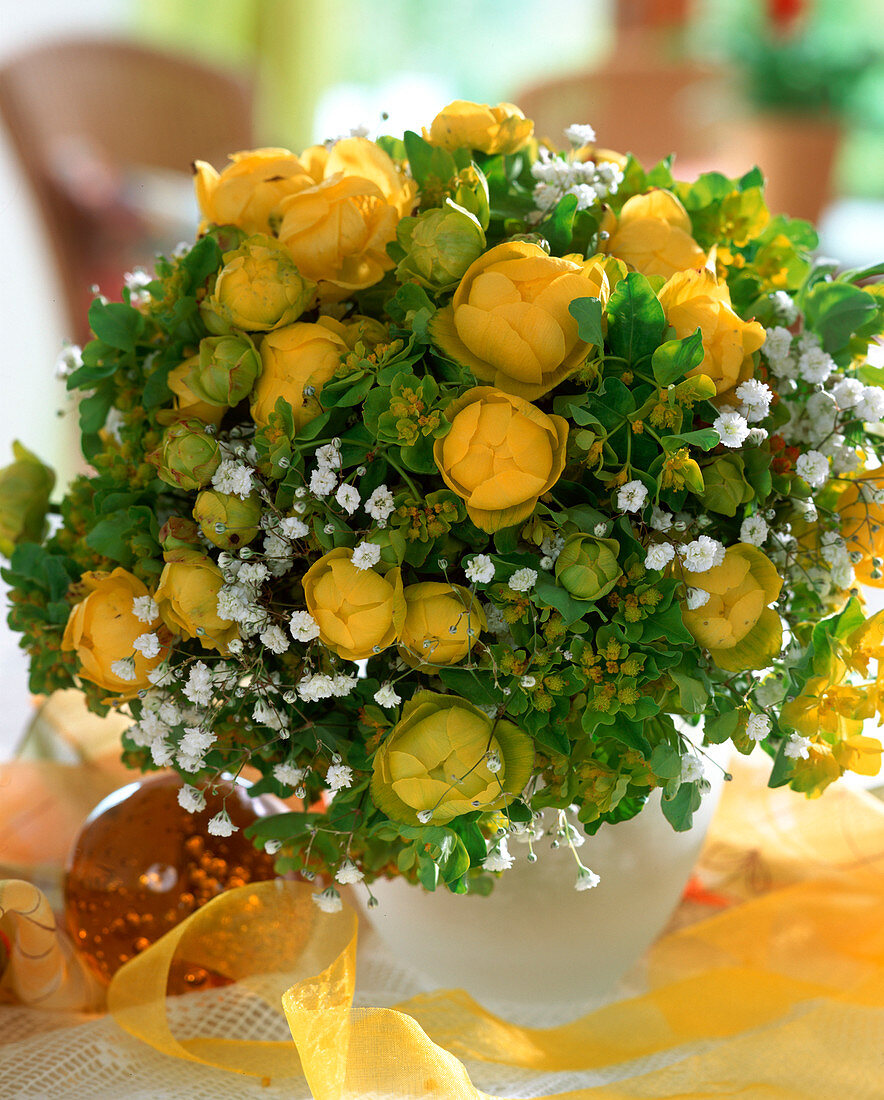 Trollius europaeus (troll flower)