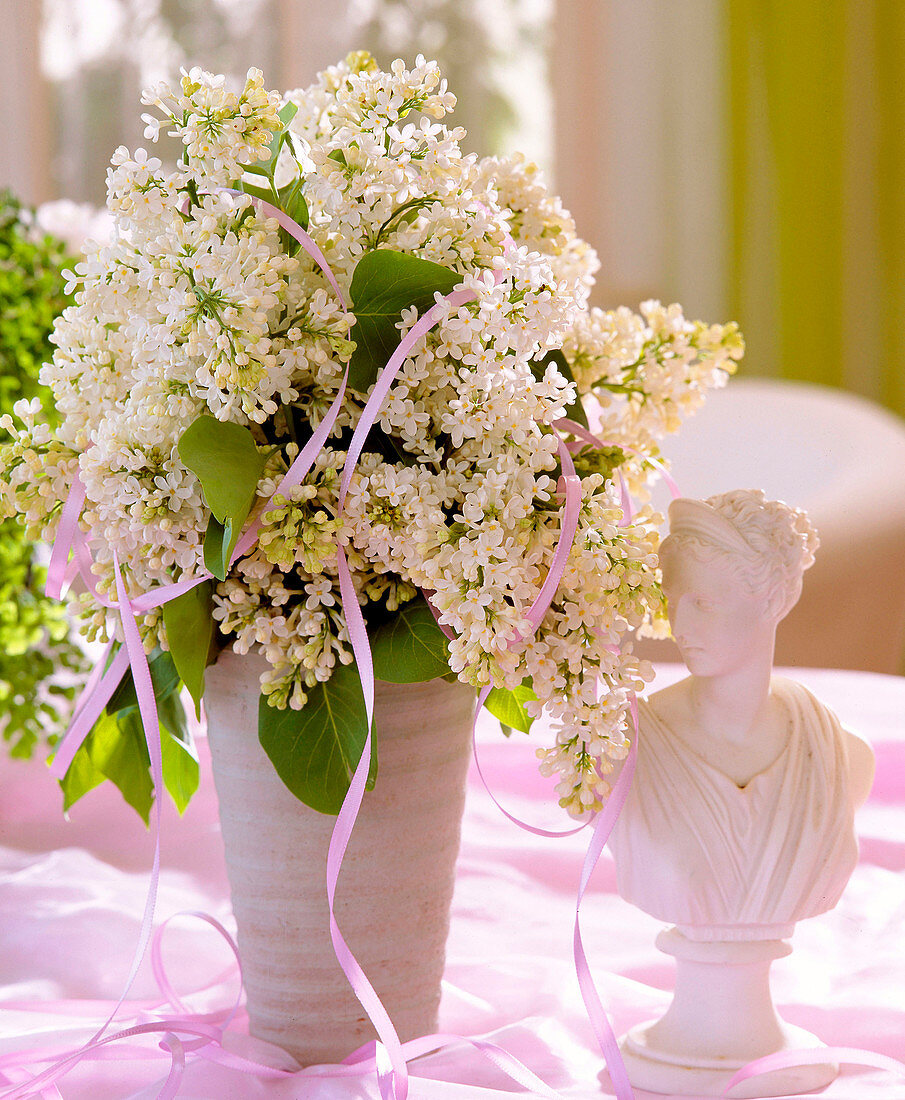 Bouquet of Lilacs 'Mme Lemoine' White