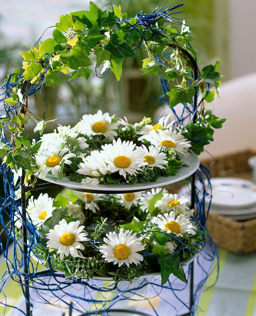 Etagere with wreaths of Leucanthemum vulgare (daisy), Hedera (ivy), Hebe (shrub veronica) and Centranthus (spur flower)