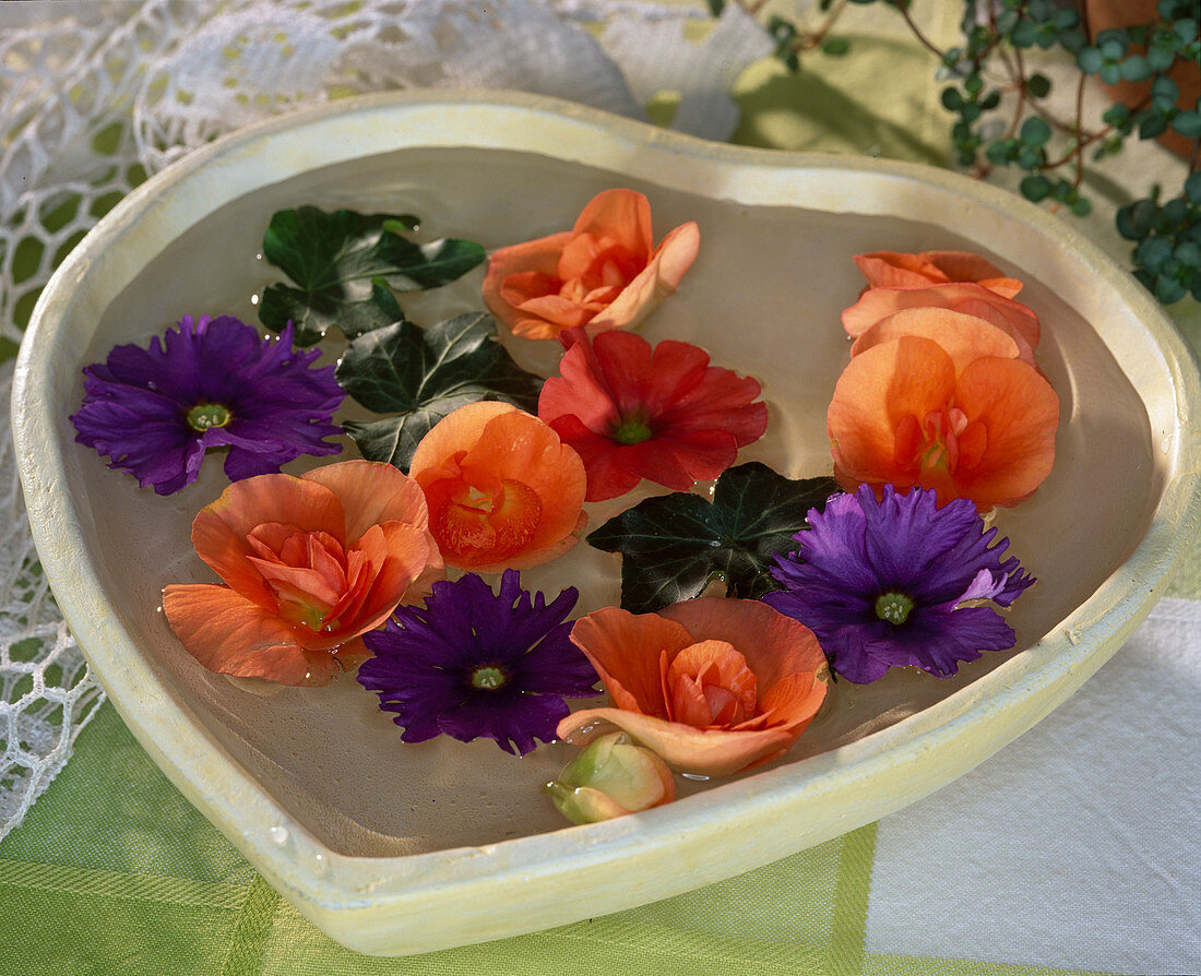 Blossoms in a water bowl of Primula