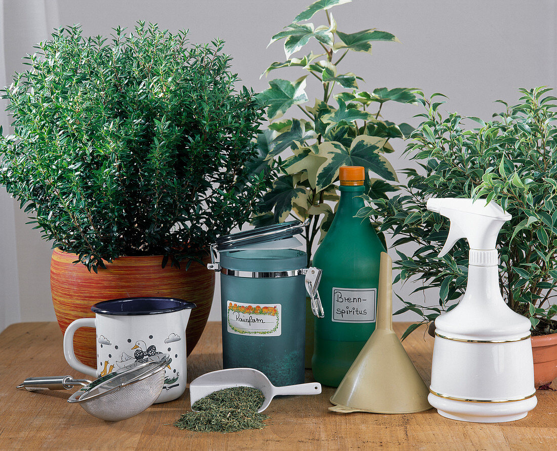 Biologischer Pflanzenschutz: Tee aus 20 g getrockneten Kräutern