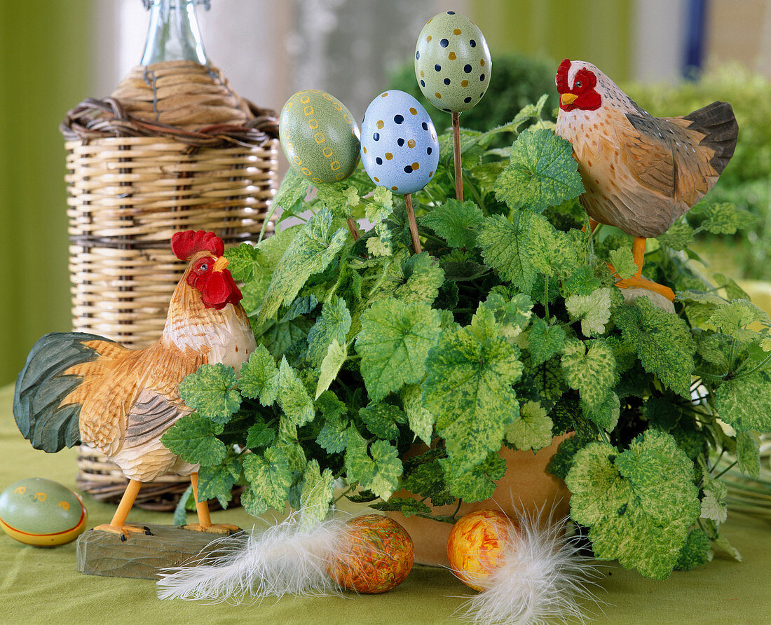 Tolmiea menziesii decorated for Easter