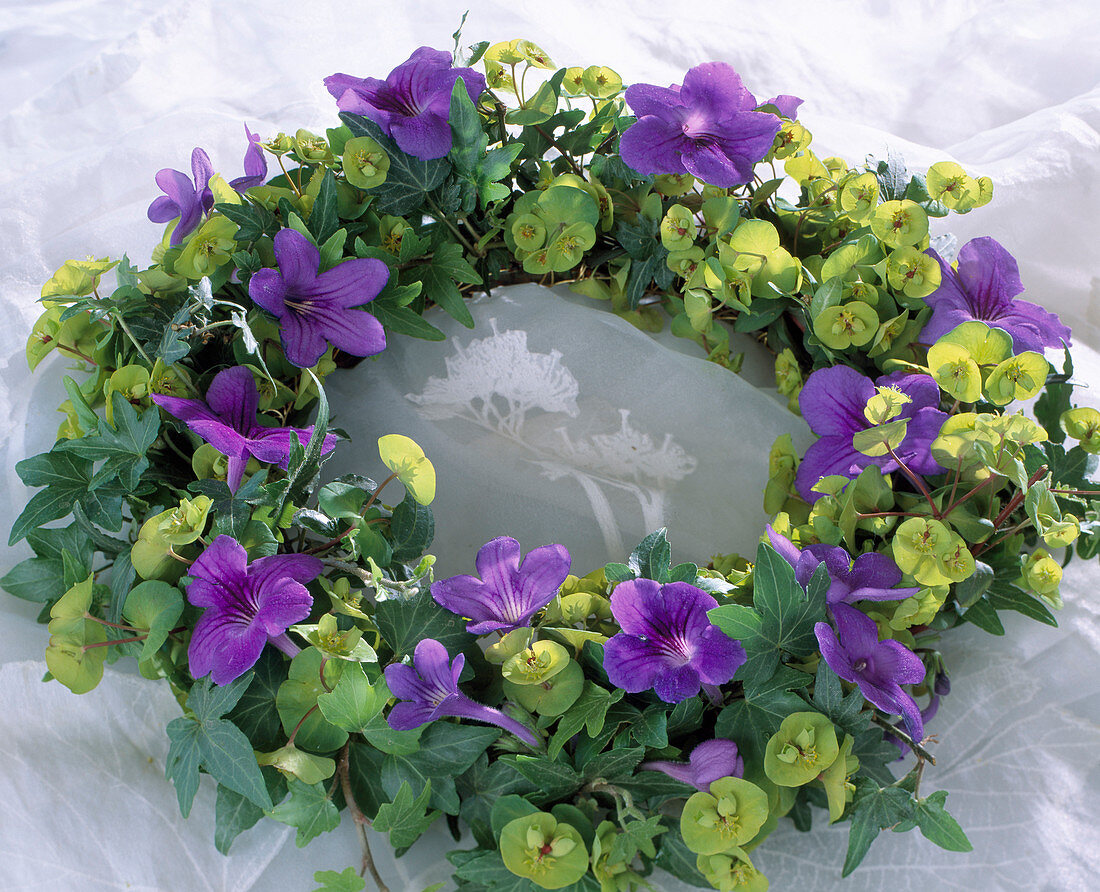 Plate wreath with milkweed, ivy and flowers of rotary fruit