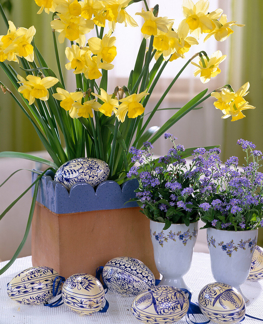 Narcissus hybrid, Myosotis (forget-me-not) patterned Easter eggs