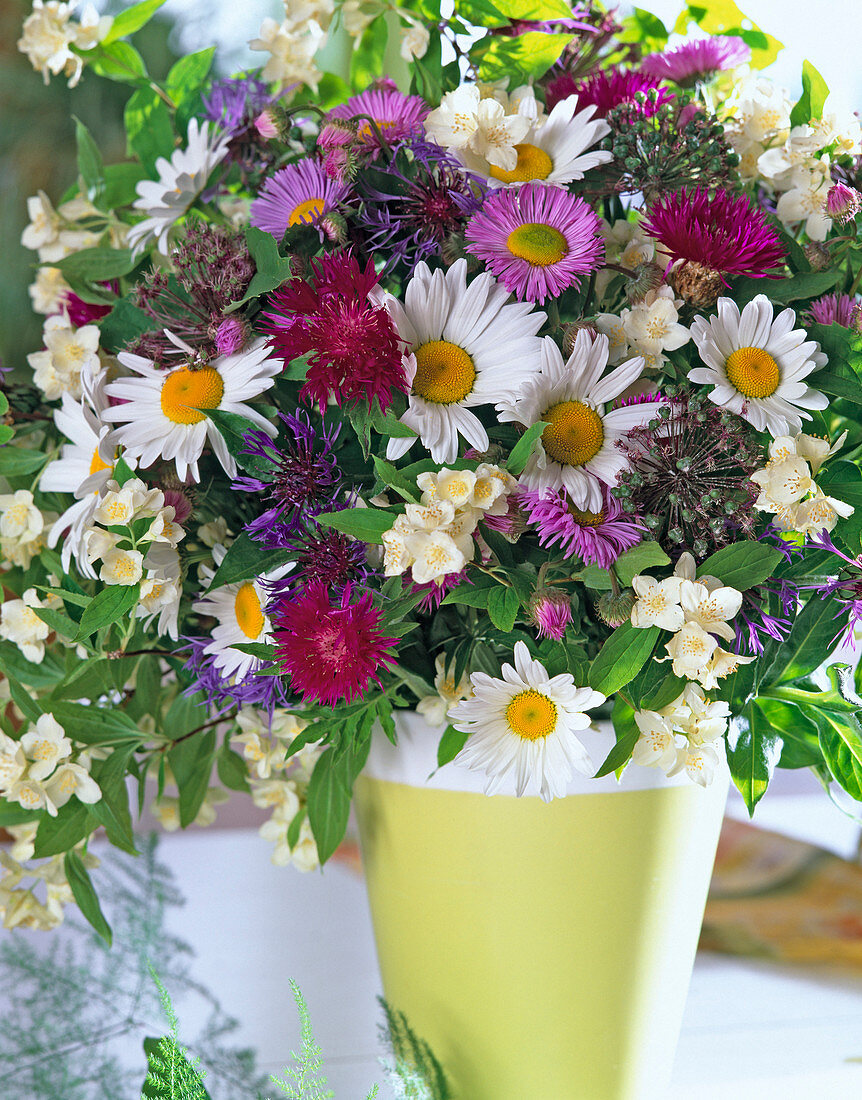 Scented bouquet with peasant jasmine, daisies, fine radiant aster and knapweeds