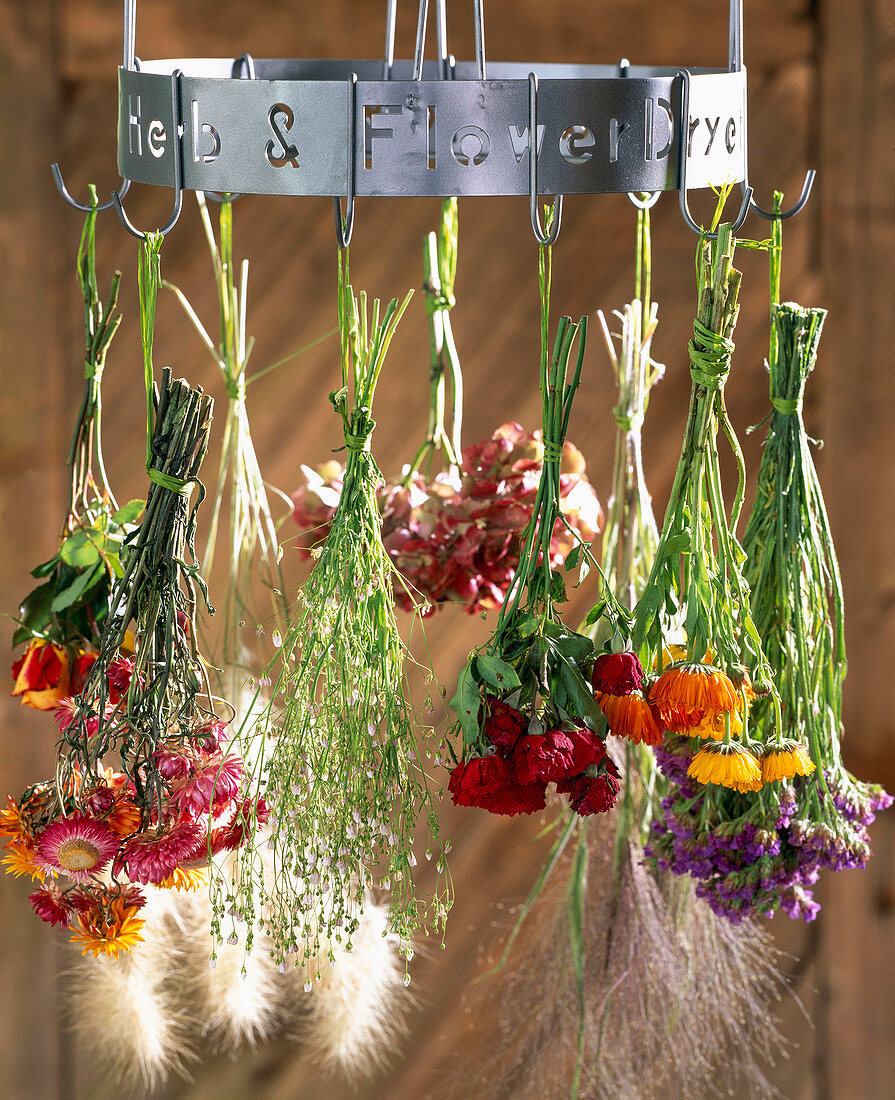 Blumen zum Trocknen aufhängen