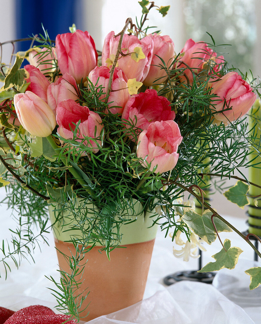 Chive tulips