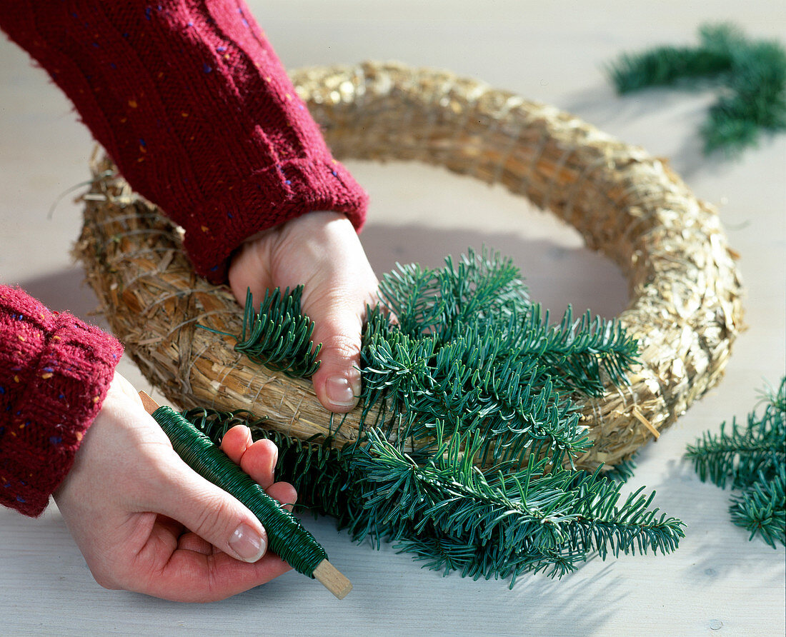 Deckenadventskranz: 1. Step. Nobilistannenzweige um den Strohrohling binden.