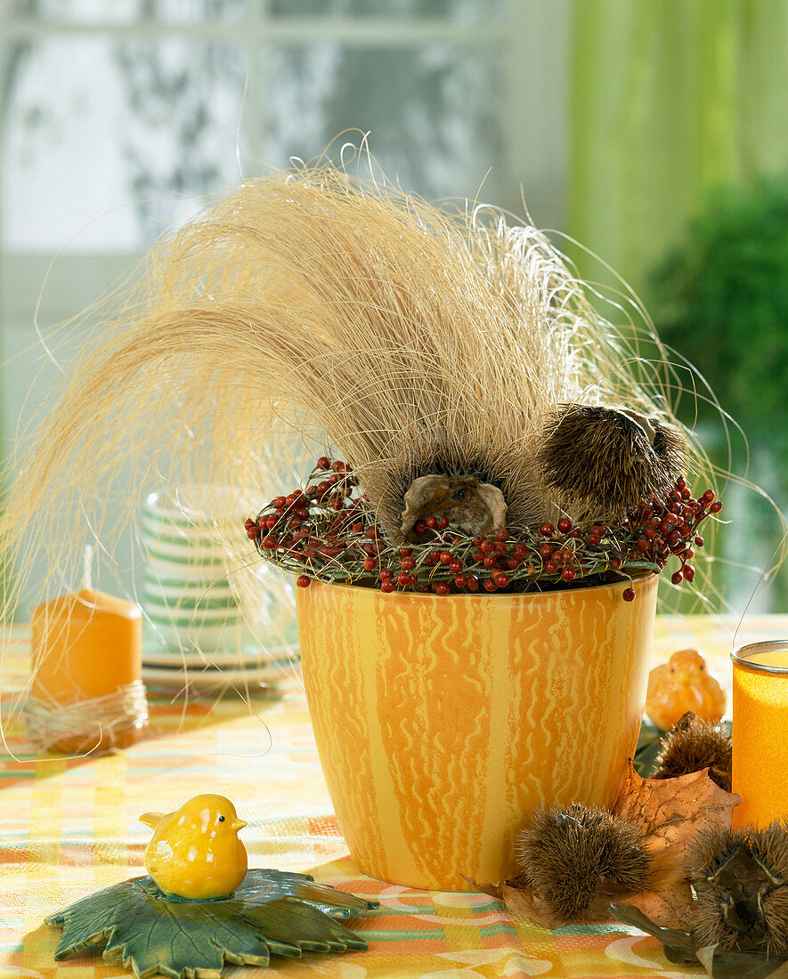 Stipa (grass in autumn with berries and chestnut pods)