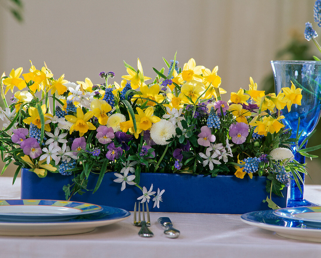 Narcissus 'Tête-à-Tête' flower arrangement