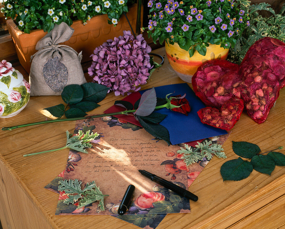 Letter to girlfriend with scented pelargonium leaves