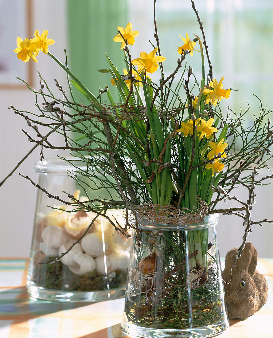 Daffodils and twigs in a glass