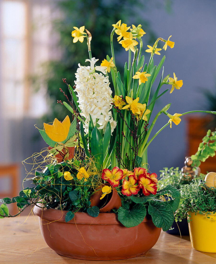 Schale mit Narcissus, Hyacinthus