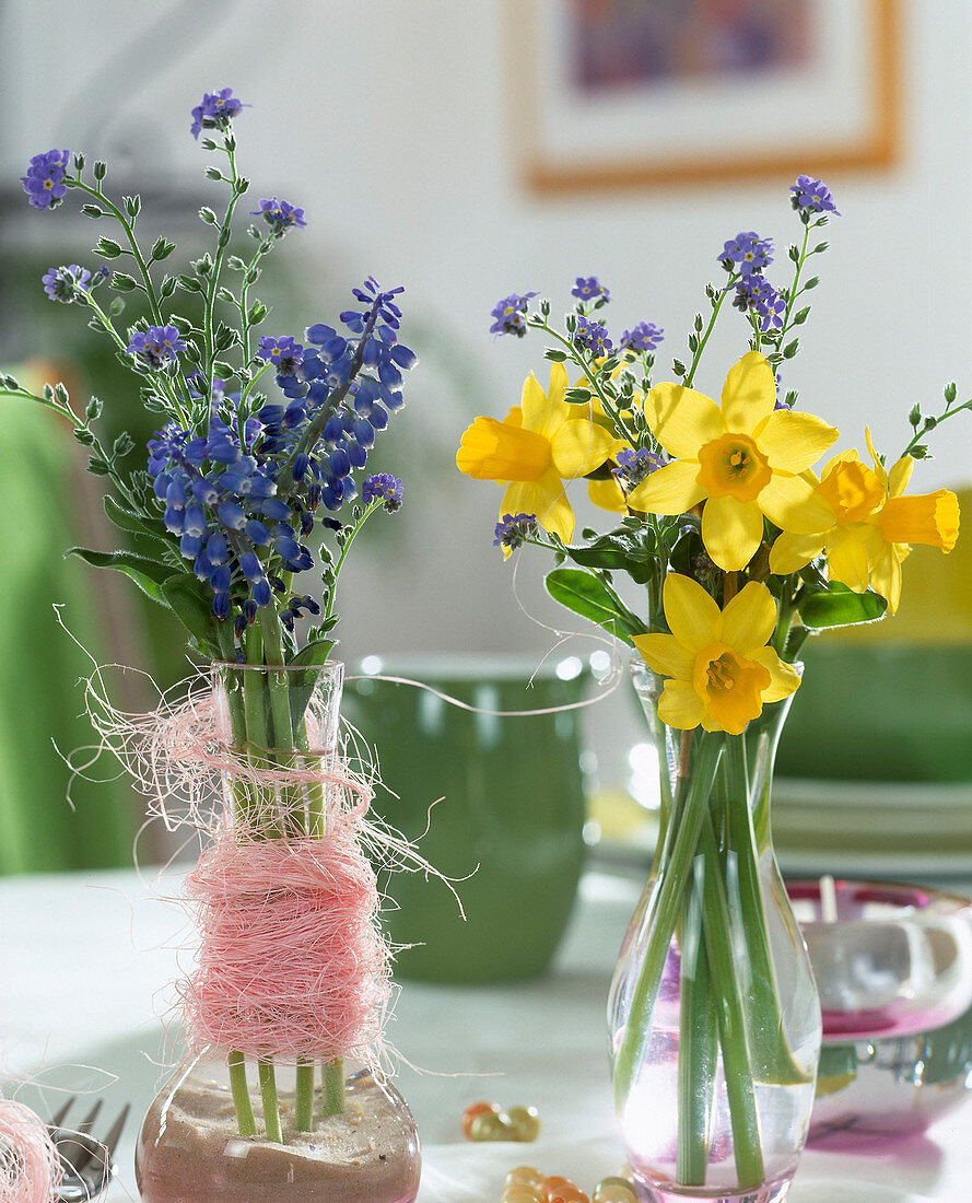 Small bouquets with daffodils, forget-me-nots and grape hyacinths