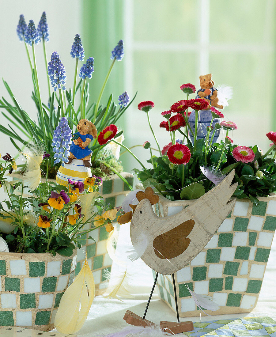 Easter arrangement with grape hyacinths, horned violets and daisies