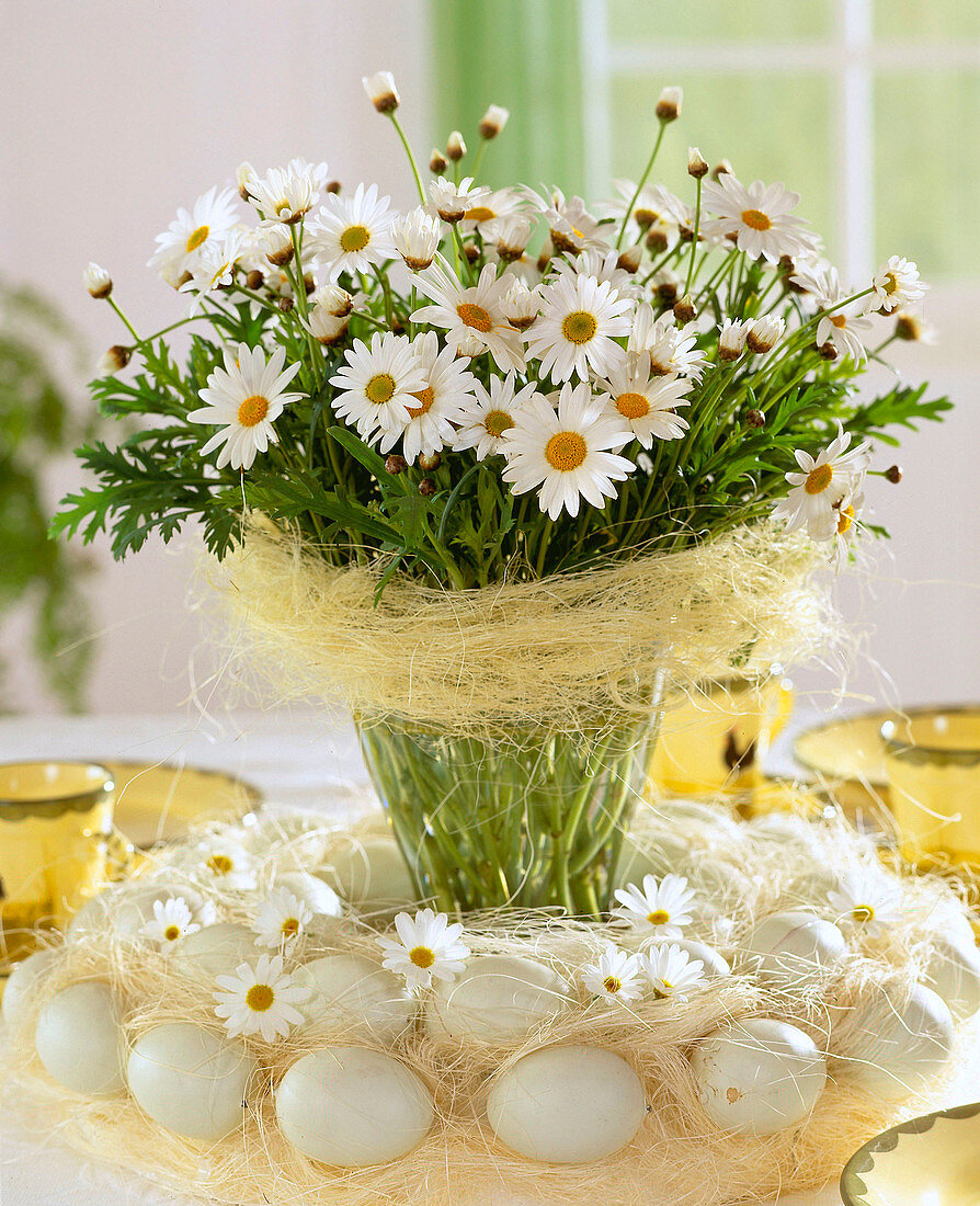 Argyranthemum frutescens (Margeritenstrauß) im österlichen Eierkranz