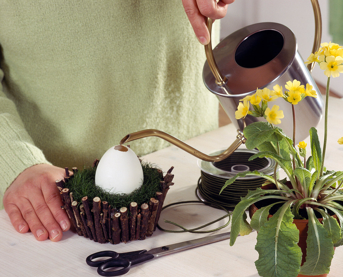 Easter decoration: Sagina nest covered with wooden branches 3rd step