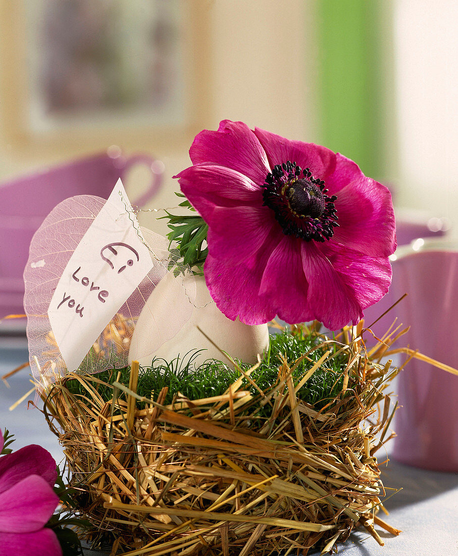 Entenei als Blumenvase im Nest aus Sagina und Stroh, Anemonen-Blüte