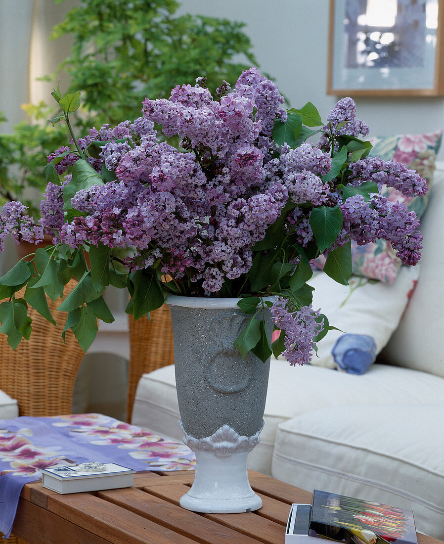 Syringa vulgaris (lilac bouquet)